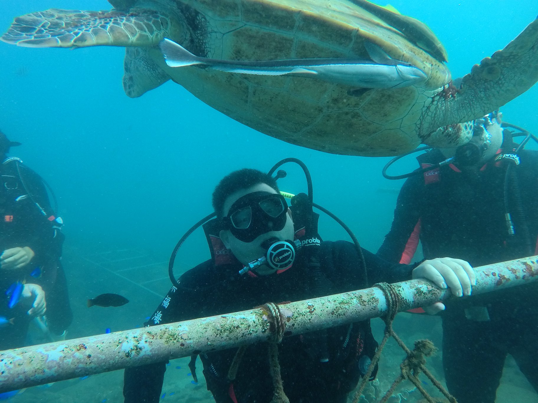 澎湖旅遊-體驗潛水(無證照)